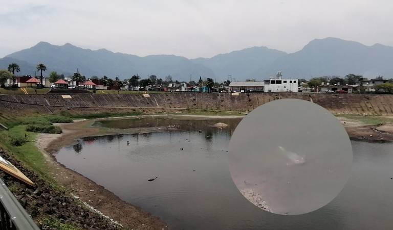 En Veracruz se pesca como lo hacían los abuelos - El Sol de México