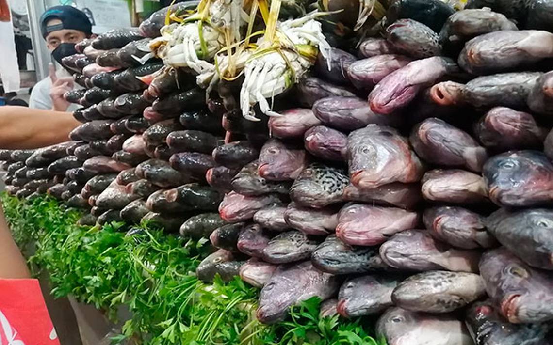 En Orizaba aprovechan la Semana Santa 2022 para ir a pescaderías del  mercado Melchor Ocampo - El Sol de Orizaba | Noticias Locales, Policiacas,  sobre México, Veracruz y el Mundo