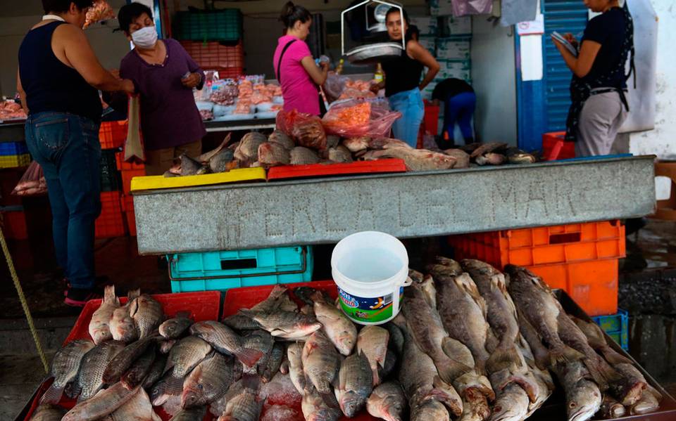 Semana Santa: ¿Qué recomendaciones da la Profeco para comprar pescados y  mariscos? - El Sol de Orizaba | Noticias Locales, Policiacas, sobre México,  Veracruz y el Mundo