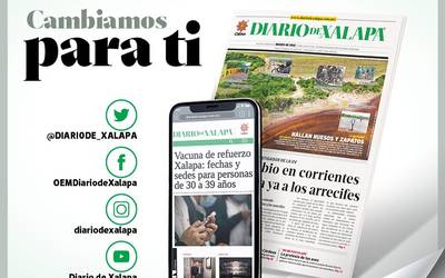 Sabes que son las flores eternas? Te contamos - El Sol de Orizaba   Noticias Locales, Policiacas, sobre México, Veracruz y el Mundo