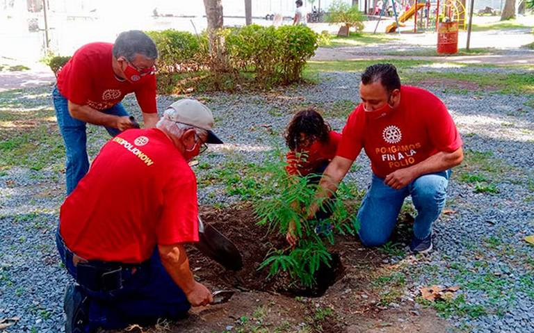 Rotarios plantan ahuehuetes en la Laguna de Nogales cuidado ambiental  reforestación áreas naturales - El Sol de Orizaba | Noticias Locales,  Policiacas, sobre México, Veracruz y el Mundo