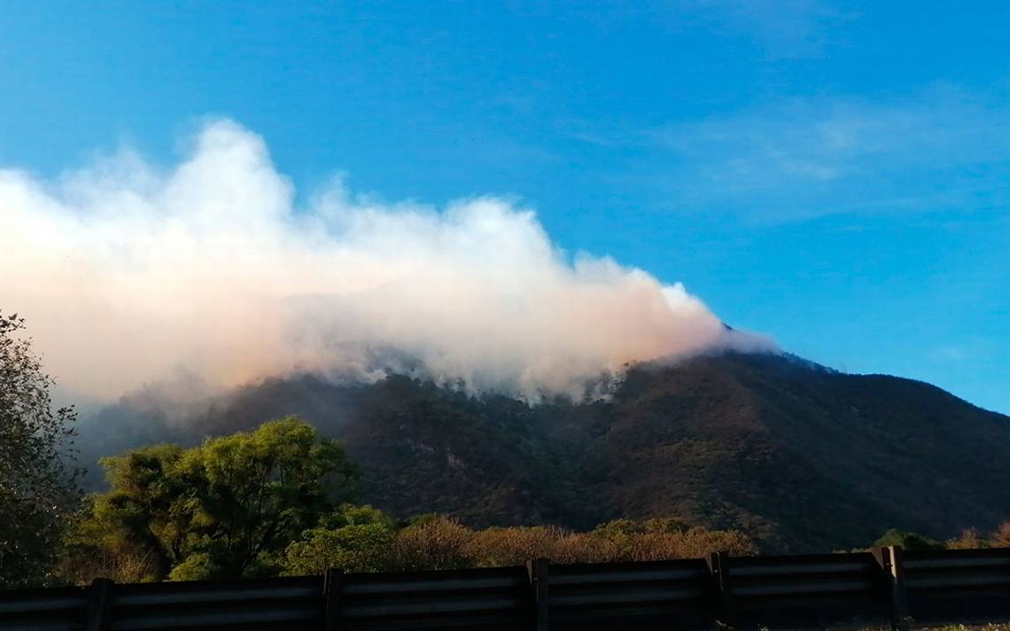 Veracruz forest fires: 100 families are evacuated in Nogales due to forest fire in El Encinal – El Sol de Orizaba