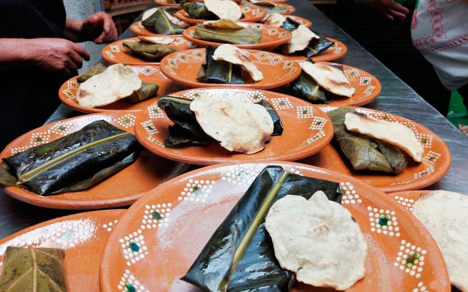 Cómo se preparan los tamales de frijol en hoja de macuilillo y chilalaca? -  El Sol de Orizaba | Noticias Locales, Policiacas, sobre México, Veracruz y  el Mundo