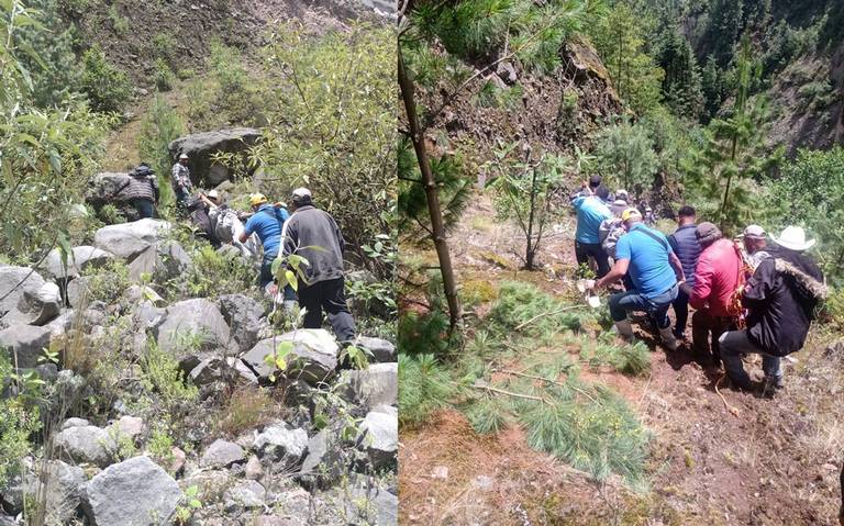 Accidentes Orizaba: mueren dos hombres cortando madera en Loma Grande - El  Sol de Orizaba | Noticias Locales, Policiacas, sobre México, Veracruz y el  Mundo